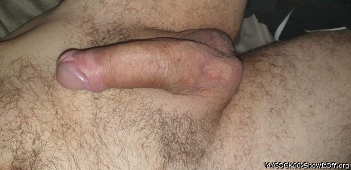 Adult image from MYCOCK66