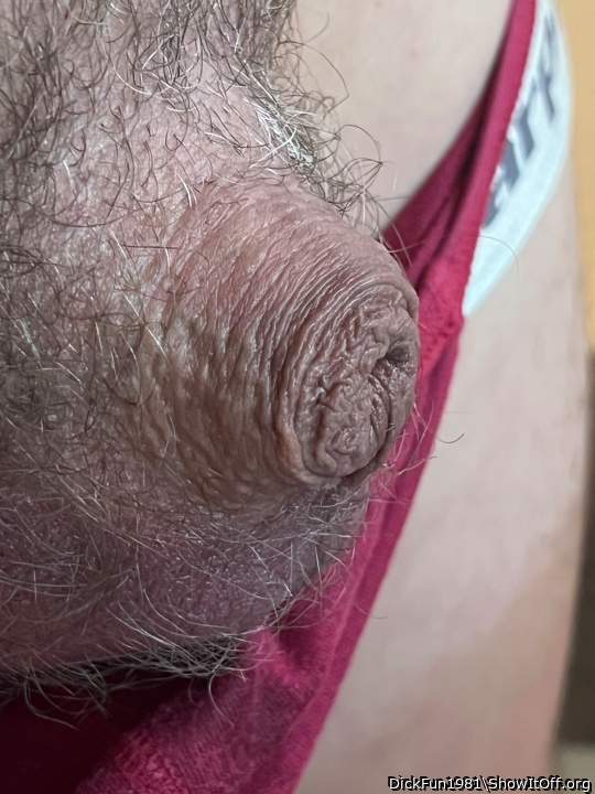 Adult image from DickFun1981