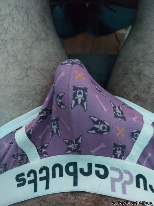 Adult image from PupToy