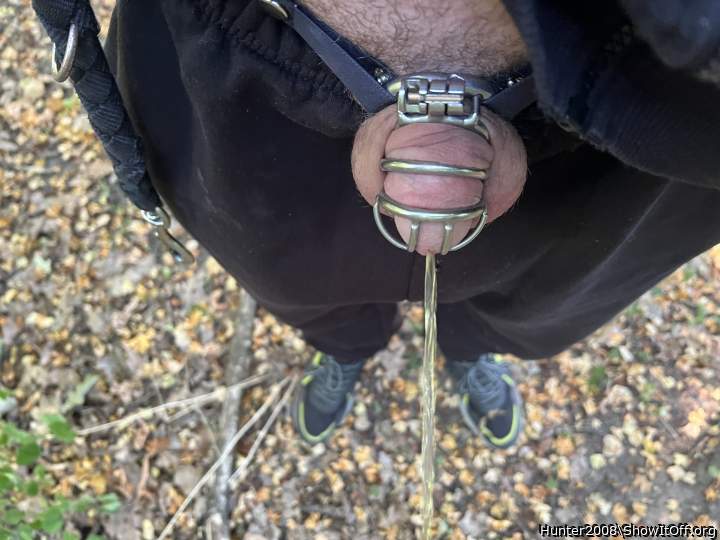 Adult image from Hunter2008