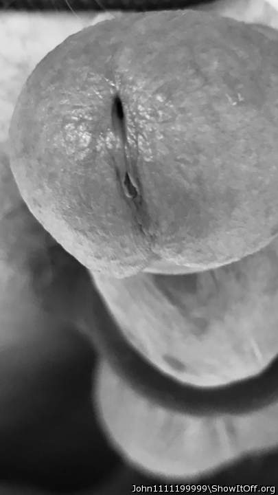 Adult image from John1111199999