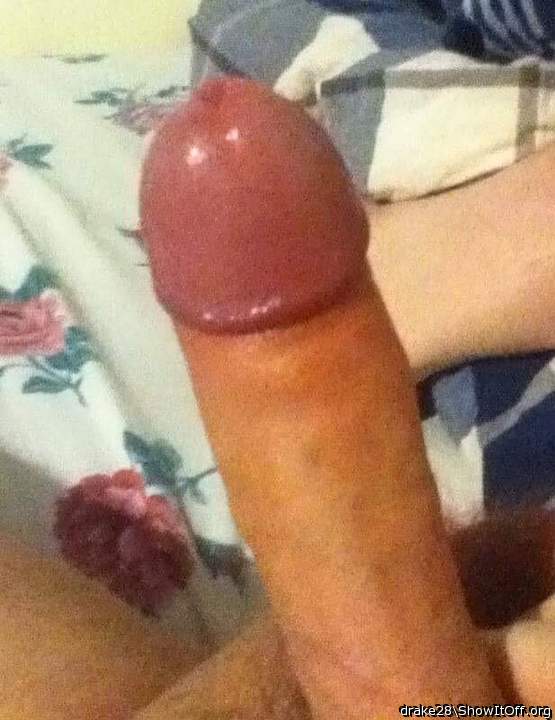 Adult image from Drake28