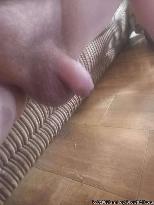 Adult image from Rob1988farmboy