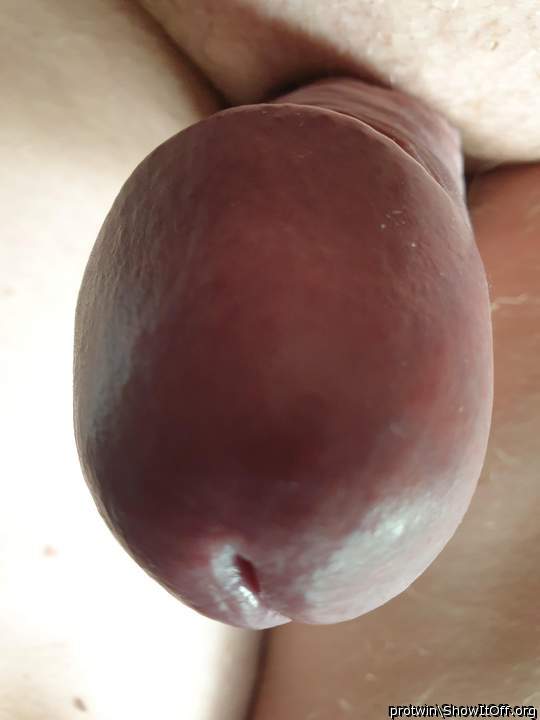 Adult image from protwin