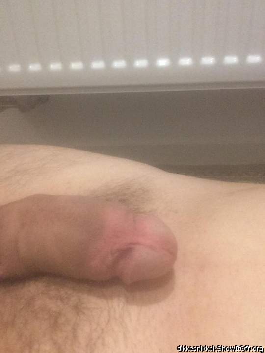 Adult image from dikkesnikkel