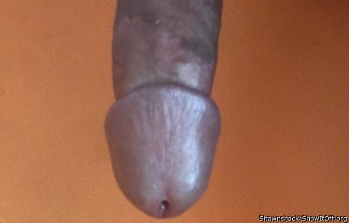 Adult image from Shawnshack