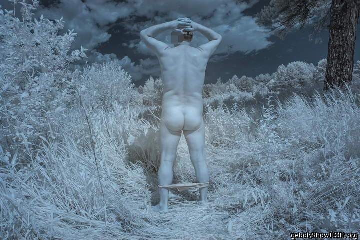 Adult image from gebol