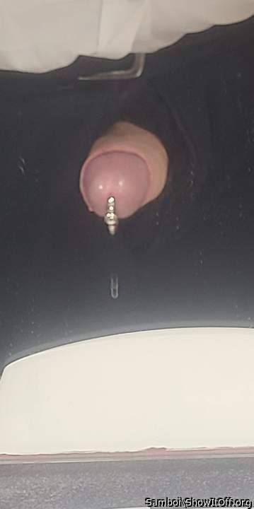 Adult image from Samboi