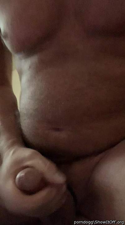 Adult image from Untamed