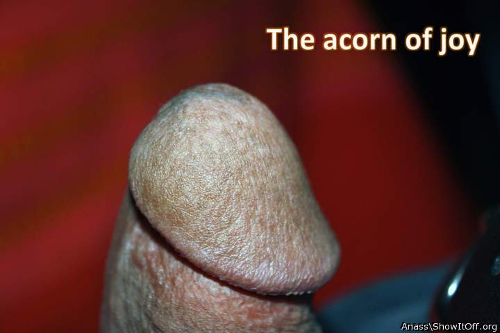 Adult image from Anass