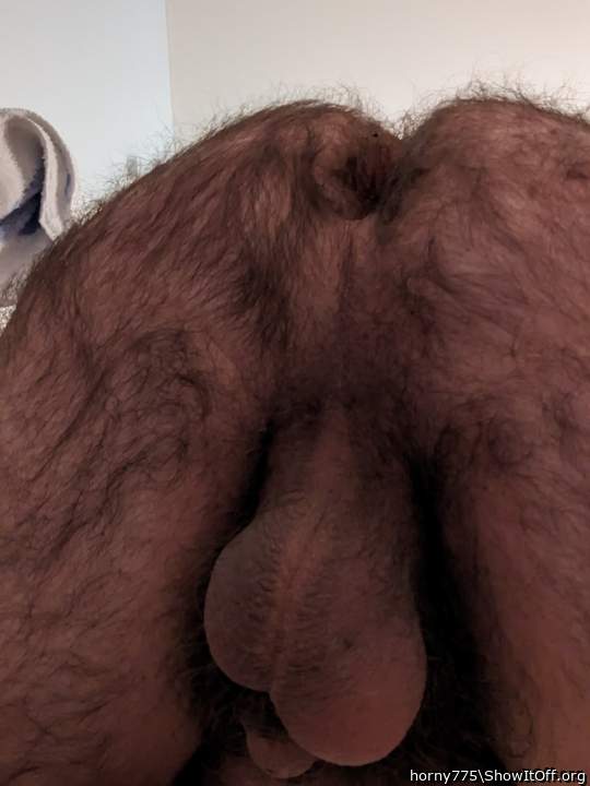 ass & balls