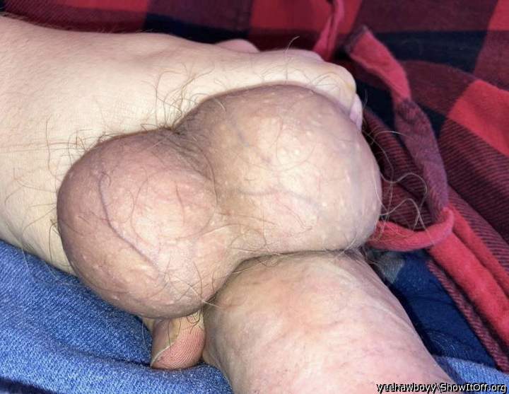 Big dick and heavy balls.  I think I�ll jack off to them