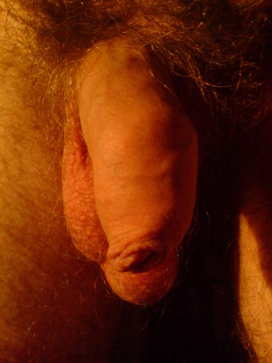 Adult image from ScottGrill