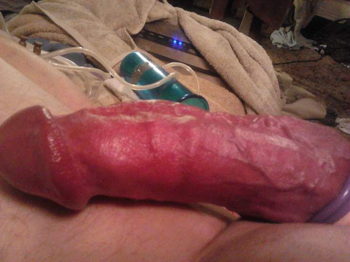 Adult image from fish4free