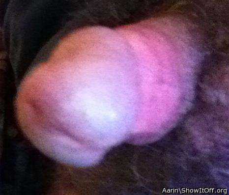 Adult image from Arinn