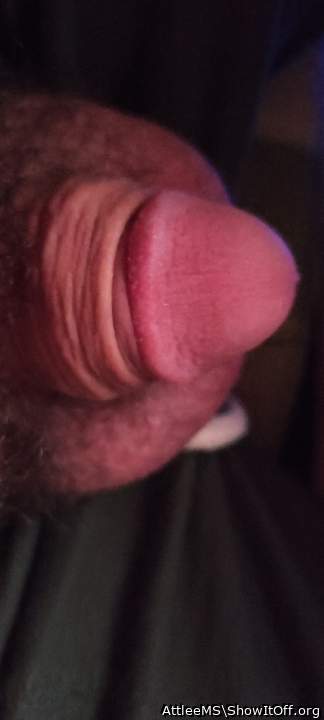 Adult image from AttleeMS