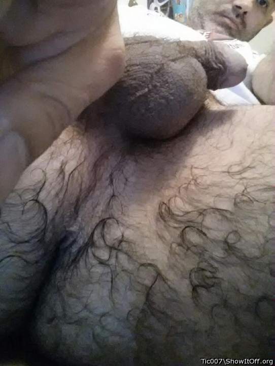 Adult image from tic007