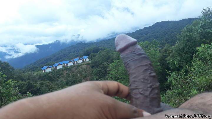 Adult image from Animesh