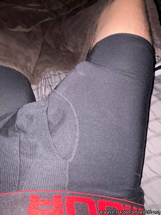 Adult image from Always_Hard69
