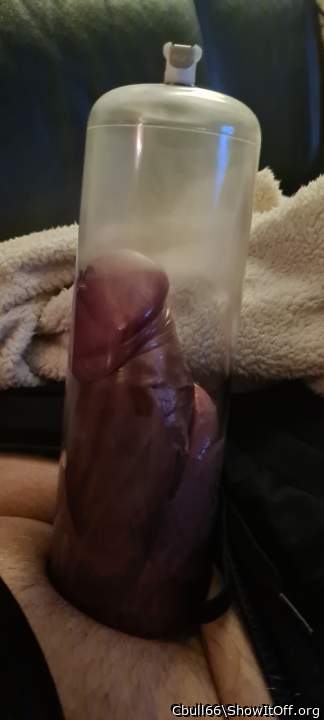 Adult image from Cbull66