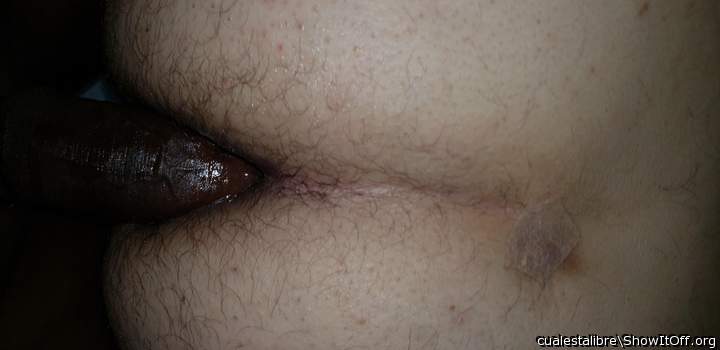 Adult image from cualestalibre