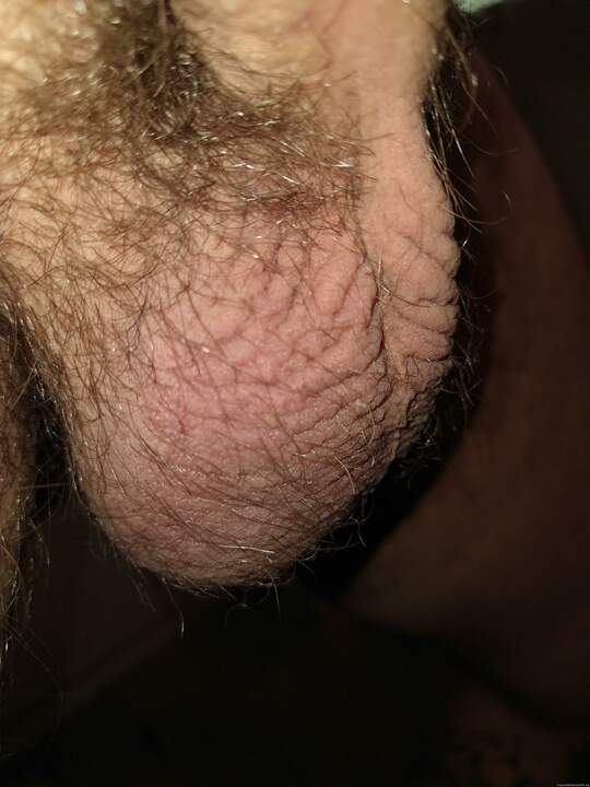 Adult image from Tnelson88