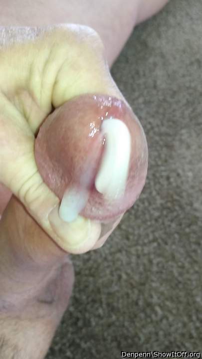 Adult image from Denpenn