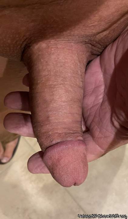 Adult image from Nelson57