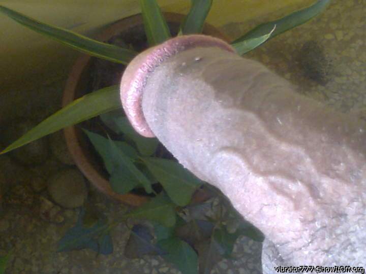 Adult image from vibrator777