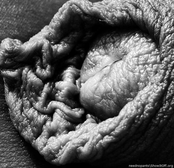 Adult image from neednopants