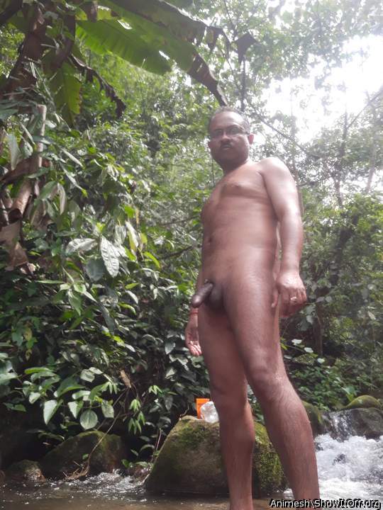 Adult image from Animesh
