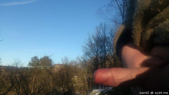 Adult image from Bernt2
