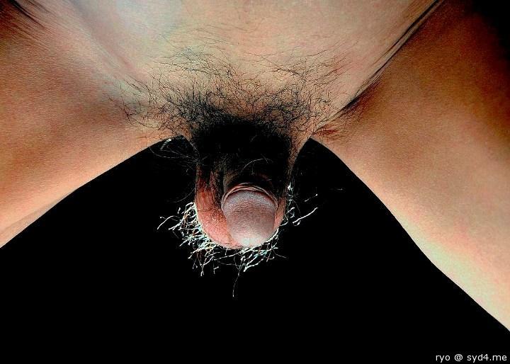 Adult image from ryo