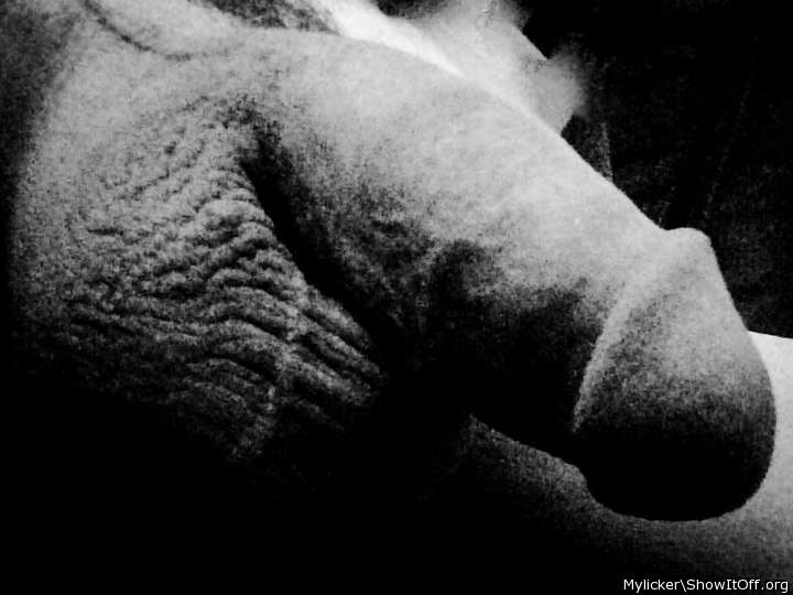 Adult image from Mylicker
