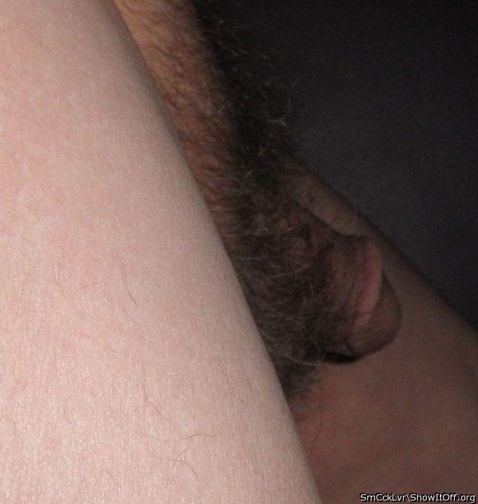 Adult image from SmCckLvr