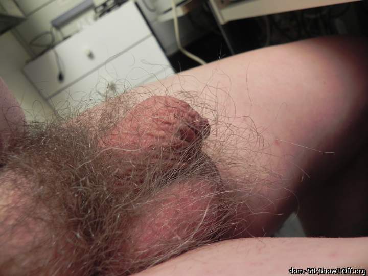 Adult image from dom-58