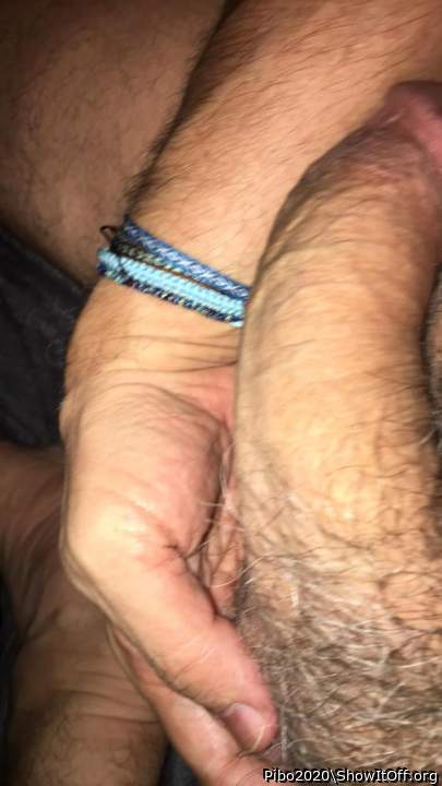 Adult image from Pibo2020
