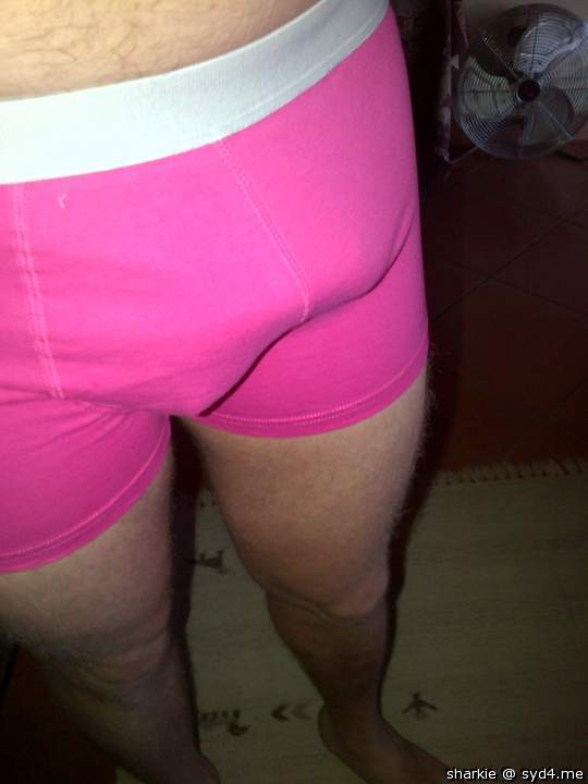 Adult image from Sharkie