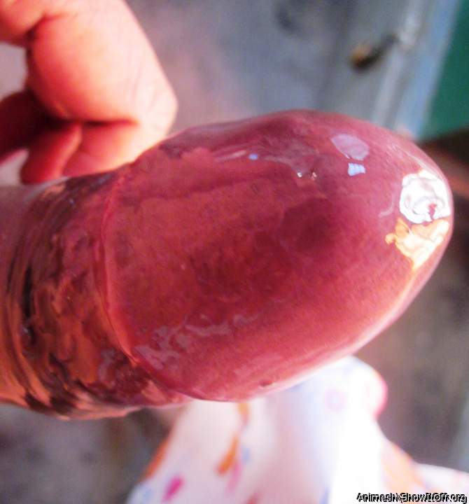 Adult image from Animesh