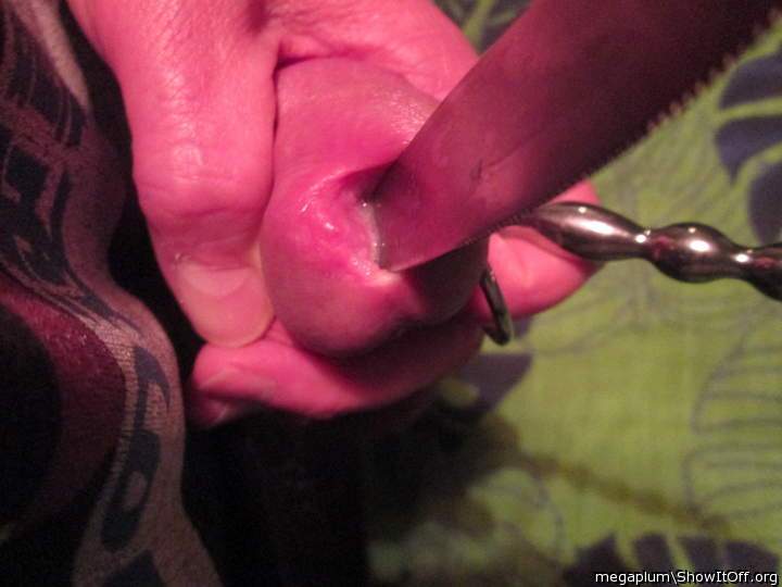 Adult image from megaplum