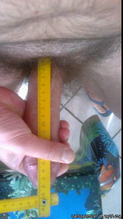 Mine is 17 cm also I�ve measured my head on my page