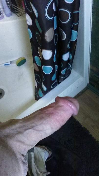 Adult image from fish4free