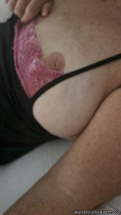 Adult image from Wallaby