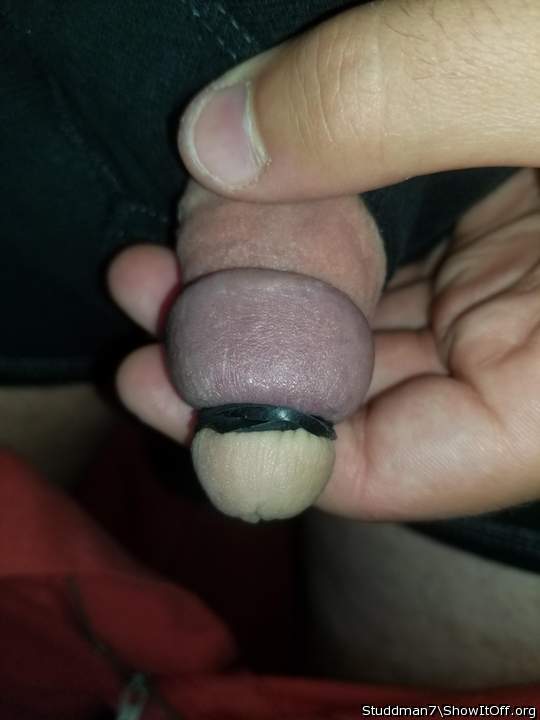 Adult image from Studdman7
