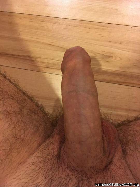 Adult image from Bambou98