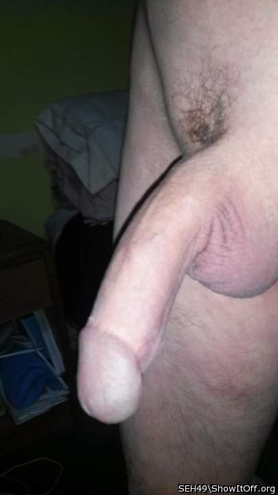 Adult image from SEH49