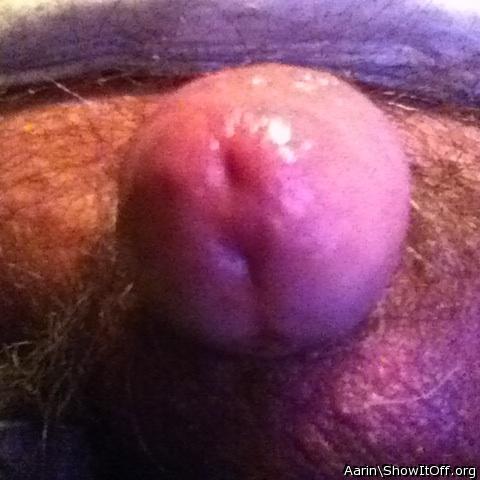 Adult image from Arinn