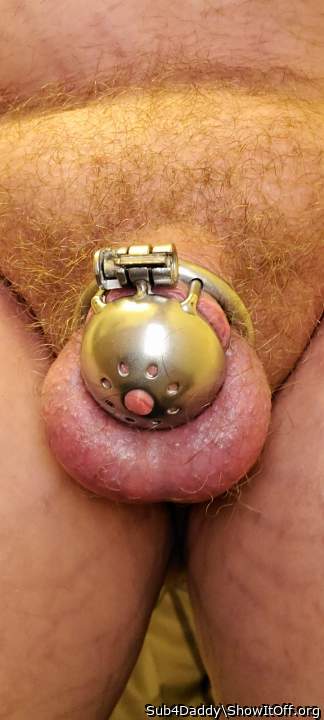 Adult image from Sub4Daddy
