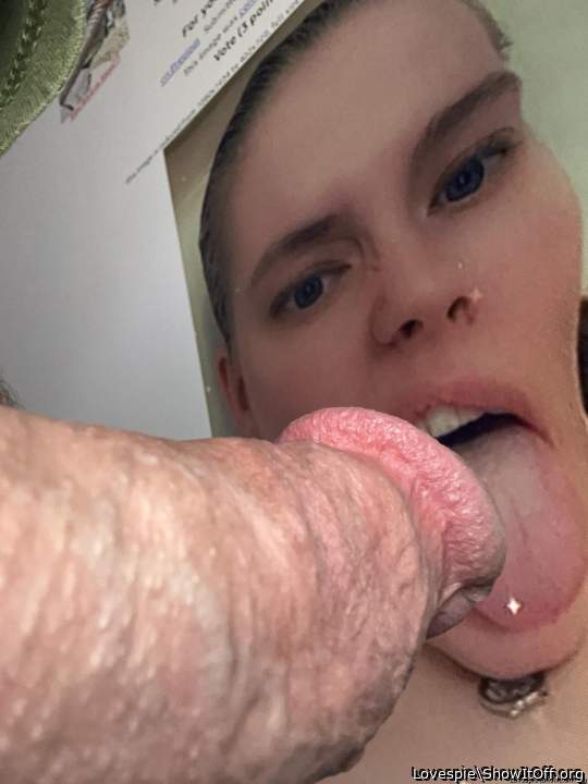 Wolfslut