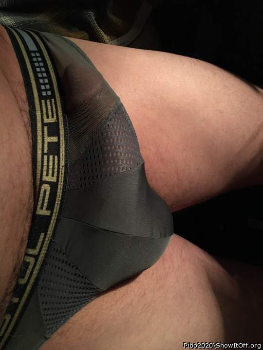 Adult image from Pibo2020